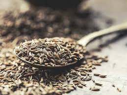 Cumin seed